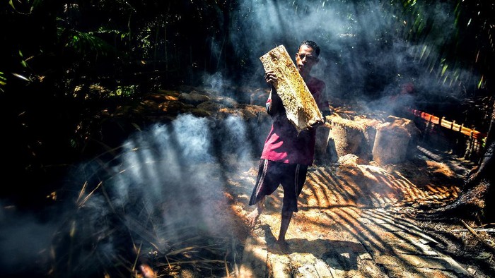 Melihat Pengolahan Sagu Secara Tradisional di Maluku Mayoritas warga di Maluku masih mengolah sagu dengan cara tradisional. Sagu itu kemudian dijual dengan harga Rp 35 ribu per tumang.