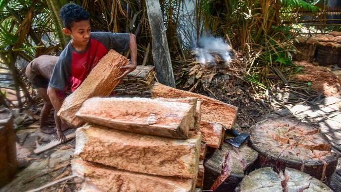 Mayoritas warga di Maluku masih mengolah sagu dengan cara tradisional. Sagu itu kemudian dijual dengan harga Rp 35 ribu per tumang.