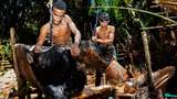 Melihat Pengolahan Sagu Secara Tradisional di Maluku