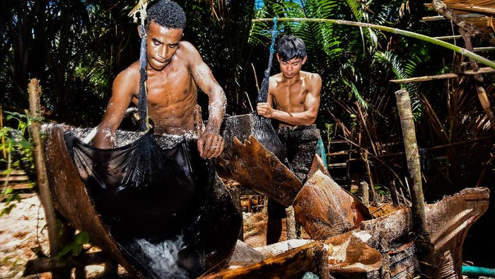 Melihat Pengolahan Sagu Secara Tradisional di Maluku Mayoritas warga di Maluku masih mengolah sagu dengan cara tradisional. Sagu itu kemudian dijual dengan harga Rp 35 ribu per tumang.