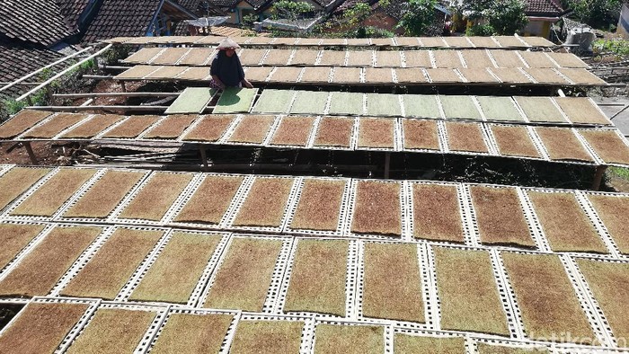 Petani Tembakau di sentra produksi bako di Kecamatan Sukasari, Kabupaten Sumedang sedang menjemur daun tembakau yang telah dicetak untuk siap dijadikan bako rokok.