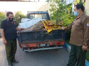 Polisi Amankan 14 Potong Kayu Sonokeling Hasil Pembalakan Liar di Pasuruan