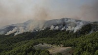 Seperti diketahui, kebakaran hutan melanda wilayah selatan dan barat negara Turki dalam 4 hari terakhir. AP Photo.