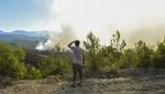 Potret Warga Berjibaku Padamkan Kebakaran Hutan di Turki