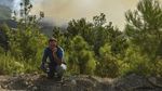 Potret Warga Berjibaku Padamkan Kebakaran Hutan di Turki