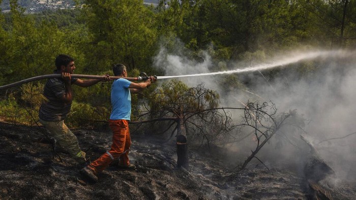 Potret Warga Berjibaku Padamkan Kebakaran Hutan di Turki Kebakaran hutan melanda wilayah selatan dan barat negara Turki dalam beberapa hari terakhir. Warga pun berjibaku memadamkan api.