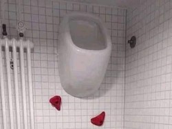 7 Desain Toilet Ekstrem Anti Mainstream Ini Bikin Geleng Kepala, Berani Coba?