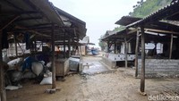 Padahal biasanya para nelayan memperoleh rata-rata 30 kg perhari hasil tangkapan laut. 