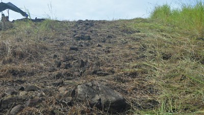Penampakan Jalan Arwah dari Papua