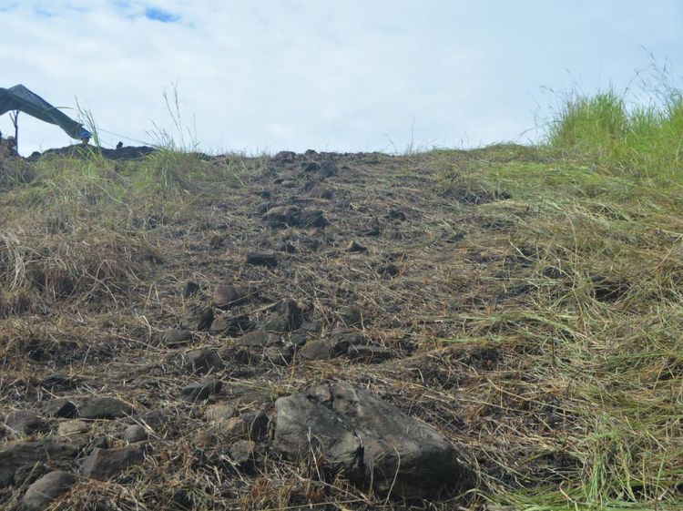 Penampakan Jalan Arwah dari Papua