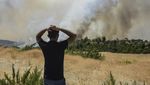 Kebakaran Hutan Turki, Turis Dievakuasi