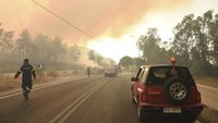  Kebakaran yang terjadi sudah melahap hutan dan pemukiman lalu melebar ke desa dan tujuan wisata. (AP)