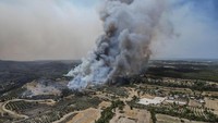 Beberapa hotel di resor laut Aegea Bodrum yang berdekatan dengan kebakaran hutan dievakuasi. (AP)