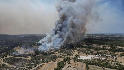 Kebakaran Hutan Turki, Turis Dievakuasi