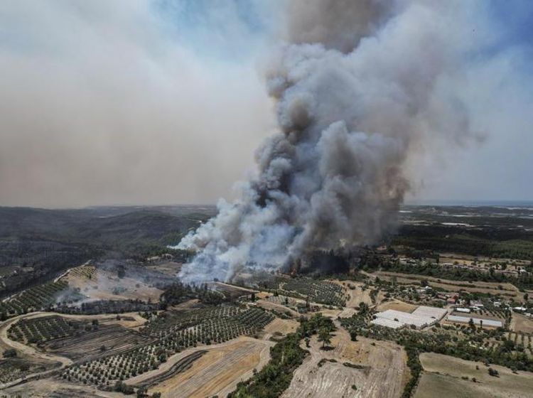 Kebakaran Hutan Turki, Turis Dievakuasi