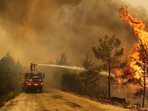 Korban Tewas Akibat Kebakaran Hutan di Turki Bertambah Jadi 8 Orang