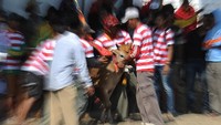 Perlu diketahui Sekitar 100 tahun silam, Madura pun pernah diamuk Flu Spanyol yang ganas dan menewaskan sebanyak 4 juta lebih  orang madura. Robertus Pudyanto/Getty Images  