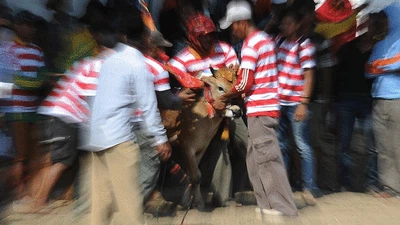 Viral Perangai Warga Madura Hadapi COVID-19