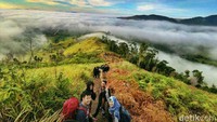 Yang terakhir adalah Puncak Ahuawali, yang bisa dibilang sebagai destinasi wisata alam favorit bagi para pecinta alam Kabupaten Konawe. Berada di Puncak Ahuawali akan membuatmu serasa berada di negeri atas awan. Sitti/detikTravel  