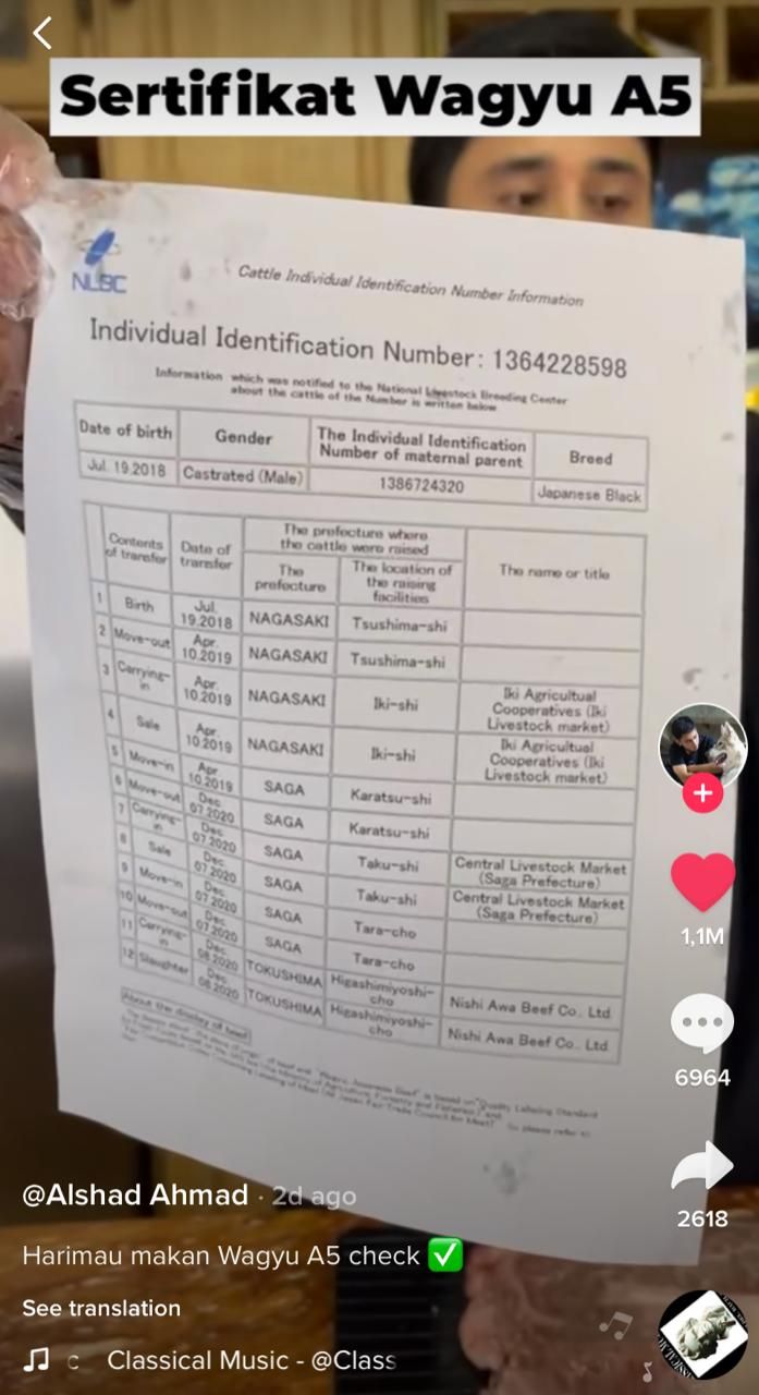 Sultan! Alshad Ahmad Berikan Wagyu A5 untuk Pakan Harimaunya