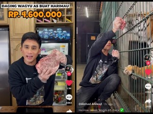 Sultan! Alshad Ahmad Berikan Wagyu A5 untuk Pakan Harimaunya