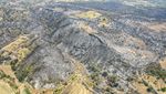 Momen Erdogan Pantau Kebakaran Hutan di Turki dari Pesawat