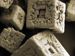 Mencengangkan! Foto Bagian Tubuh & Benda  Sekitar Dilihat dari Mikroskop