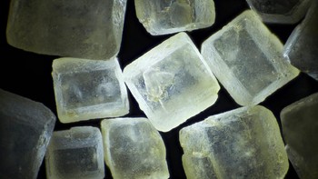 Gula merah. Foto: dok Twitter/PostMindBlowing