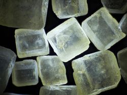 Mencengangkan! Foto Bagian Tubuh & Benda  Sekitar Dilihat dari Mikroskop