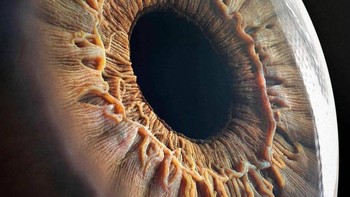 Mata manusia. Foto: dok Twitter/PostMindBlowing