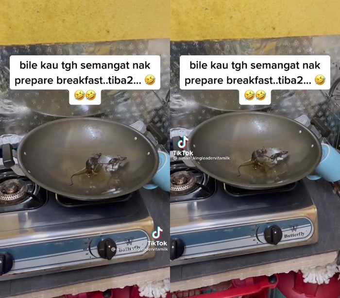 Males Banget! Niat Masak Untuk Sarapan Malah Temukan Tikus Mandi Minyak di Wajan