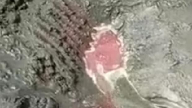 Sebuah video pasir pantai mengeluarkan darah viral di Banyuwangi. Cairan merah seperti darah segar keluar dari pasir diduga di Pantai Grajagan Banyuwangi.