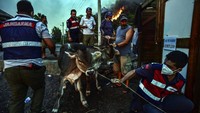 Mereka mengungsi dengan menggunakan kapal kecil maupun konvoi mobil dan truk. AP Photo.
