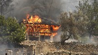 Diketahui pihak berwenang Turki masih melakukan penyelidikan terkait kebakaran yang diduga dilakukan oleh militan Kurdi. Namun, para ahli berpendapat kebakaran hutan ini terjadi akibat dampak dari perubahan iklim. AP Photo.