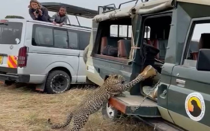 Turis nakal di Maasai Mara