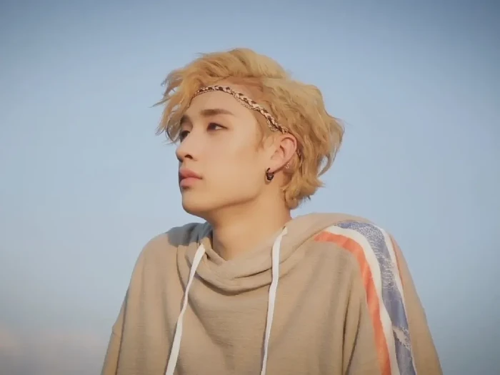 Bang Chan Stray Kids