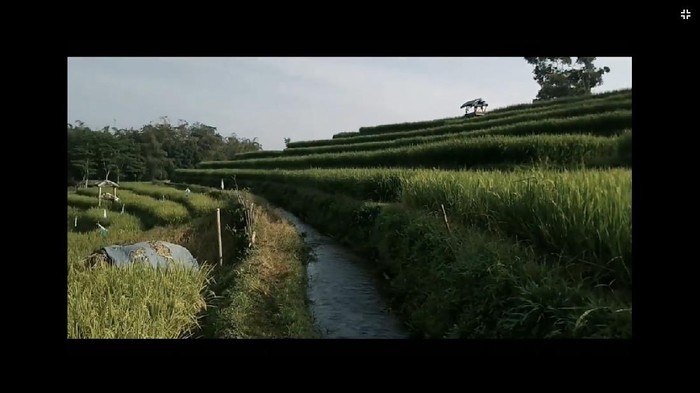 Desa Penanggungan