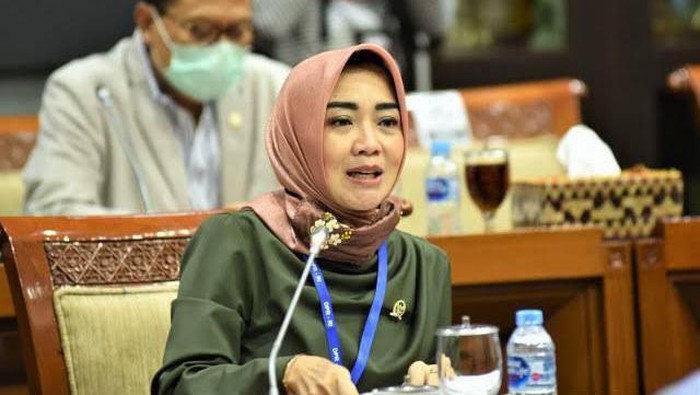 Anggota Komisi III DPR dari Fraksi Partai NasDem Eva Yuliana.
