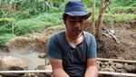 Ini Penampakan Seratusan Koin Kuno Zaman Belanda di Bandung