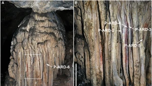 Keren! Temuan Terbaru Buktikan Lukisan Gua Tertua di Spanyol Dibuat Neanderthal
