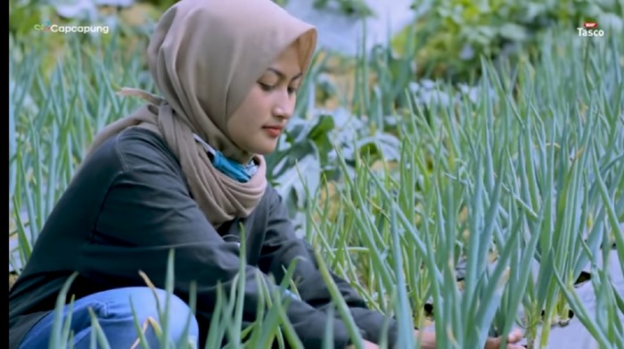 Pandemi Bikin Pedangdut Cantik Ini Pilih Jadi Petani Daun Bawang