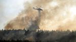 Pemukiman Warga Ludes Terbakar Gegara Kebakaran Hutan Yunani