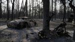 Pemukiman Warga Ludes Terbakar Gegara Kebakaran Hutan Yunani
