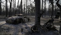 Kebakaran hutan terjadi di berbagai negara, salah satunya terjadi di wilayah Yunani.  