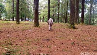 Di antara objek wisata yang ditutup ialah hutan pinus, Camp Lembanna, Danau Tanralli dan Pohoin Jodoh. (Ibnu Munsir/detikcom)