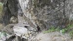 Tradisi Unik Tana Toraja, Kuburan Berada di Goa dan Tebing