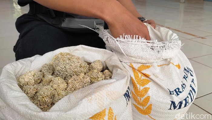 Begini Rupa Beras 'Batu' untuk Bansos PPKM Warga Pandeglang Warga Pandeglang, Banten, dihebohkan dengan gumpalan beras seperti batu. Beras tersebut merupakan bantuan bagi warga yang terdampak PPKM.