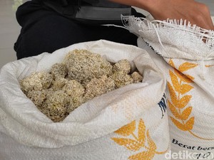 Beras Batu Dibagikan ke Warga Pandeglang, Ini Respons Bulog