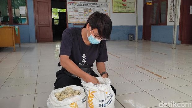 Beras Batu di Pandeglang