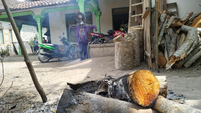 Diang dan Pasang Boneka Depan Rumah Warga Blitar Tolak Balak Pagebluk